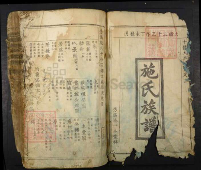 江西省吉安市吉水县施氏族谱-芳溪施氏十修族谱.pdf电子版预览图1