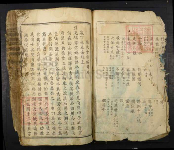 江西省吉安市吉水县施氏族谱-芳溪施氏十修族谱.pdf电子版预览图2