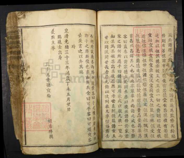 江西省吉安市吉水县施氏族谱-芳溪施氏十修族谱.pdf电子版预览图4