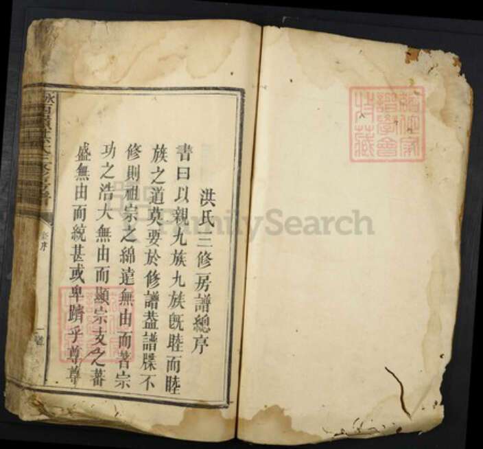 江西省吉安市永丰县洪氏族谱-永丰西岺洪氏三修房谱.pdf电子版预览图1