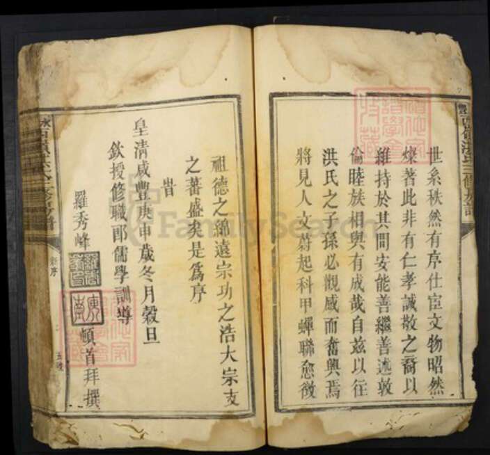 江西省吉安市永丰县洪氏族谱-永丰西岺洪氏三修房谱.pdf电子版预览图5