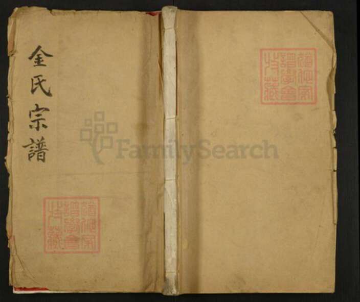 江苏省常州市金氏族谱-延陵金氏宗谱.pdf电子版缩略图