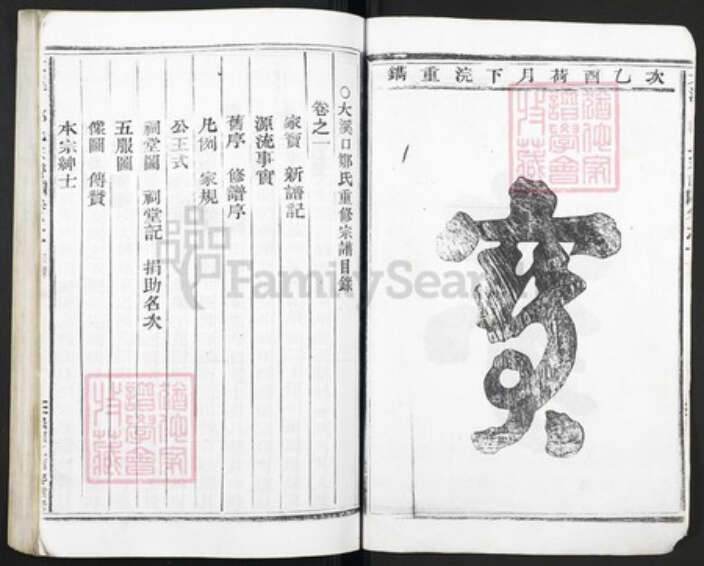 浙江省金华市武义县邹氏族谱-大溪口邹氏宗谱.pdf电子版预览图2