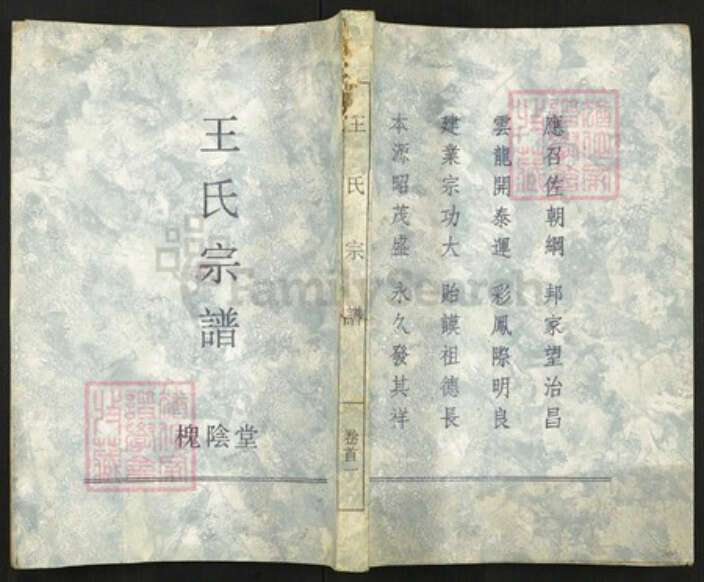 湖北省武汉市新洲区王氏族谱-王氏宗谱.pdf电子版缩略图