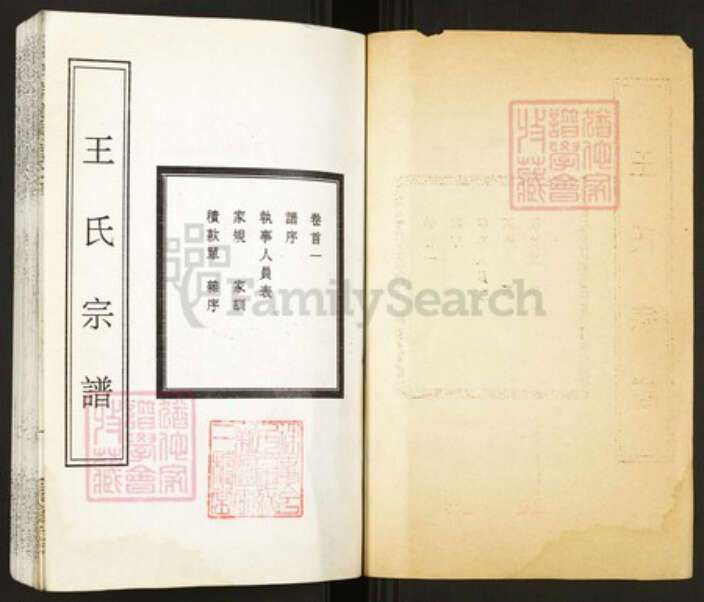 湖北省武汉市新洲区王氏族谱-王氏宗谱.pdf电子版预览图1