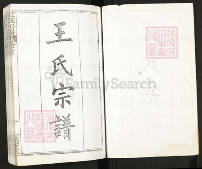 湖北省武汉市新洲区王氏族谱-王氏宗谱.pdf电子版预览图2