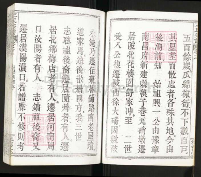 湖北省武汉市新洲区王氏族谱-王氏宗谱.pdf电子版预览图4