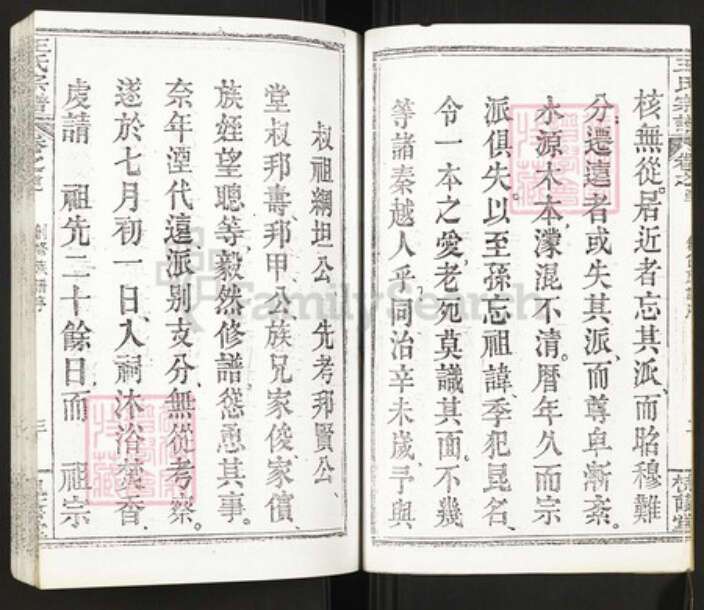 湖北省武汉市新洲区王氏族谱-王氏宗谱.pdf电子版预览图5