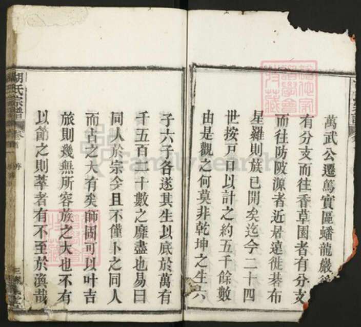 湖北省黄冈市红安县胡氏族谱-胡氏宗谱.pdf电子版预览图3