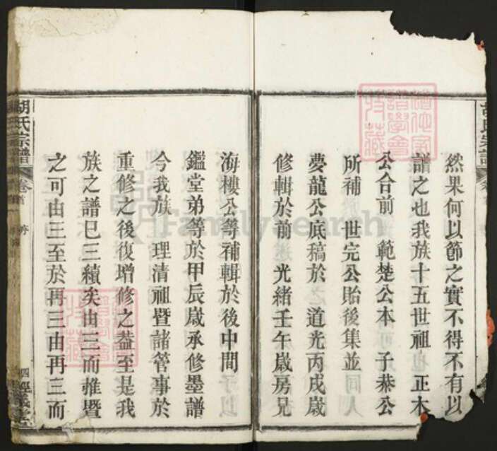 湖北省黄冈市红安县胡氏族谱-胡氏宗谱.pdf电子版预览图4