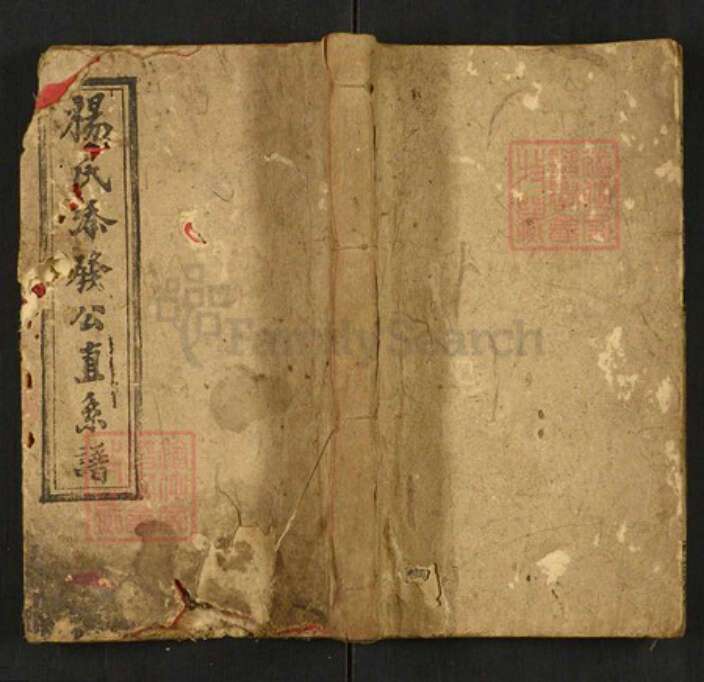 湖南省邵阳市邵东杨氏族谱-邵东新桥杨氏兴房直系谱.pdf电子版缩略图