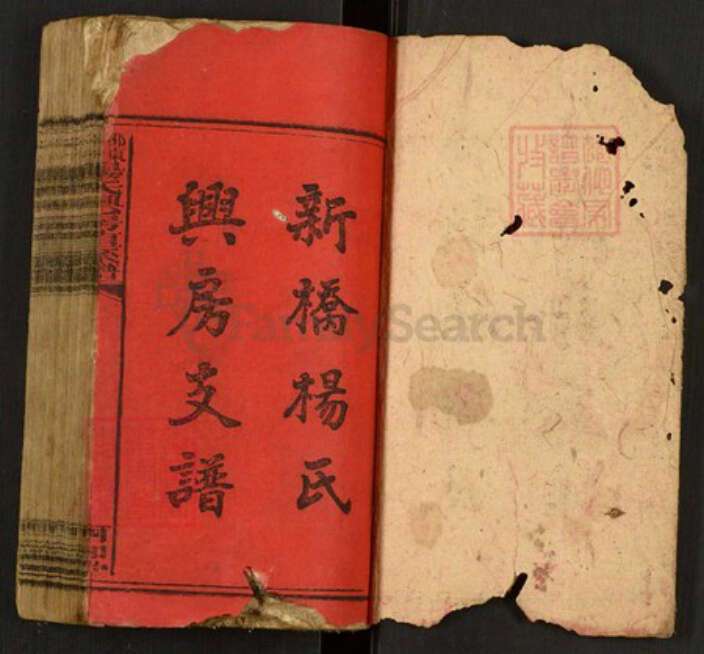 湖南省邵阳市邵东杨氏族谱-邵东新桥杨氏兴房直系谱.pdf电子版预览图1