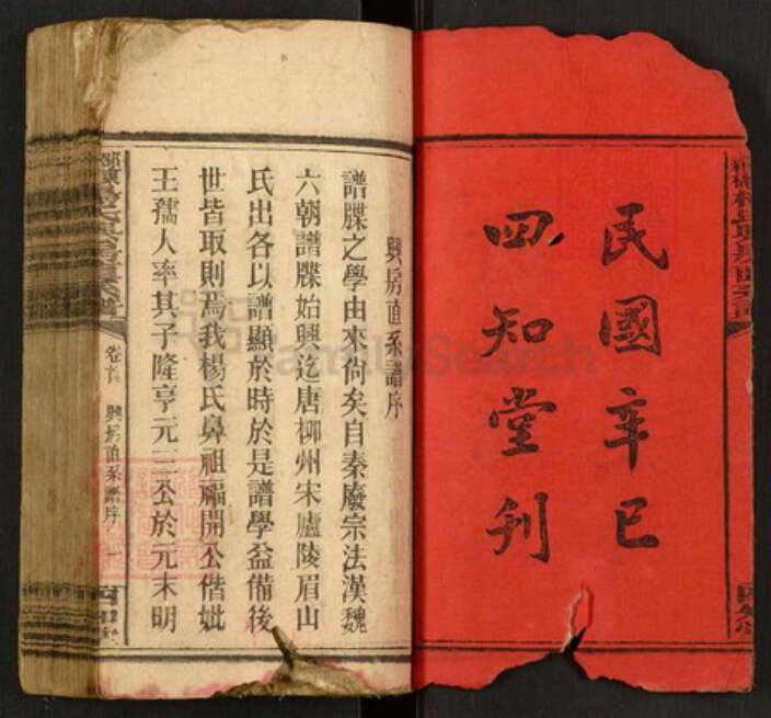 湖南省邵阳市邵东杨氏族谱-邵东新桥杨氏兴房直系谱.pdf电子版预览图2