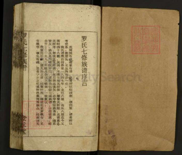 湖南省邵阳市罗氏族谱-罗氏七修族谱.pdf电子版预览图1