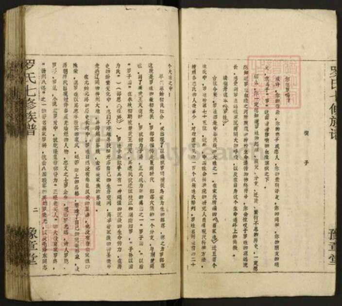 湖南省邵阳市罗氏族谱-罗氏七修族谱.pdf电子版预览图4