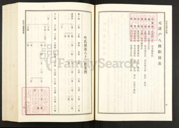 湖北省黄冈市罗田县叶氏族谱-叶氏八修宗谱.元清户[1册].pdf电子版预览图5