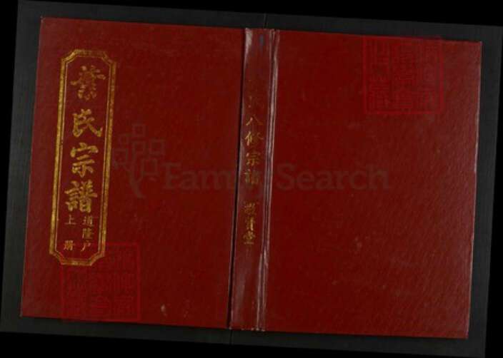 湖北省黄冈市罗田县叶氏族谱-叶氏八修宗谱.道隆户[上下册].pdf电子版缩略图