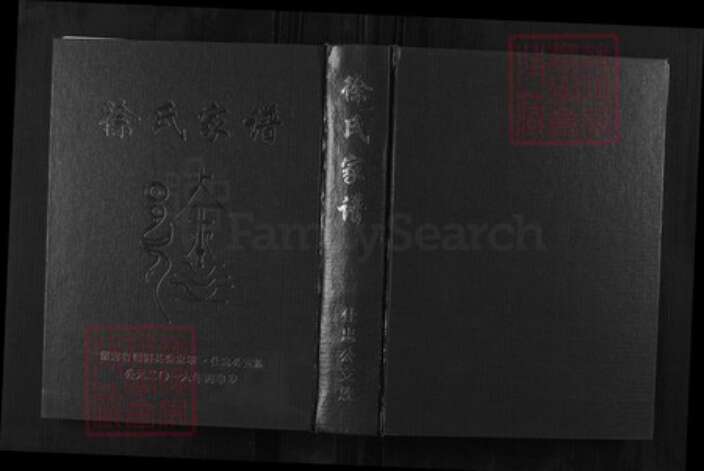 湖南省徐氏东海堂  一本堂族谱-徐氏五修族谱 仕忠公支族.pdf电子版缩略图