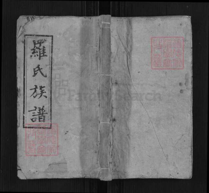 湖南省邵阳市邵阳县罗氏豫章堂族谱-罗氏九房族谱.pdf电子版缩略图