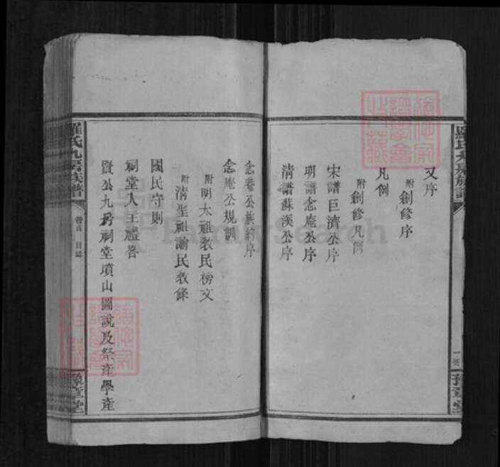 湖南省邵阳市邵阳县罗氏豫章堂族谱-罗氏九房族谱.pdf电子版预览图2