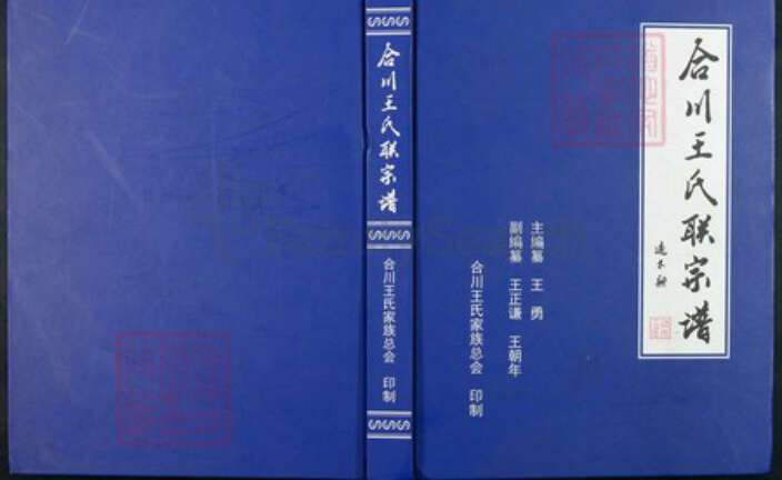 重庆市合川区王氏族谱-合川王氏联宗谱.pdf电子版缩略图