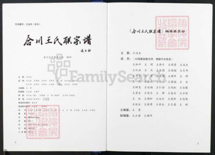 重庆市合川区王氏族谱-合川王氏联宗谱.pdf电子版预览图2