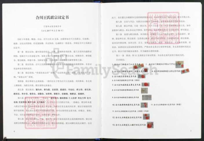 重庆市合川区王氏族谱-合川王氏联宗谱.pdf电子版预览图4