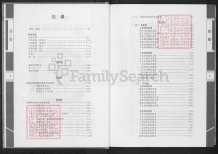 福建省厦门市许氏族谱-桂园许氏族谱.pdf电子版预览图4