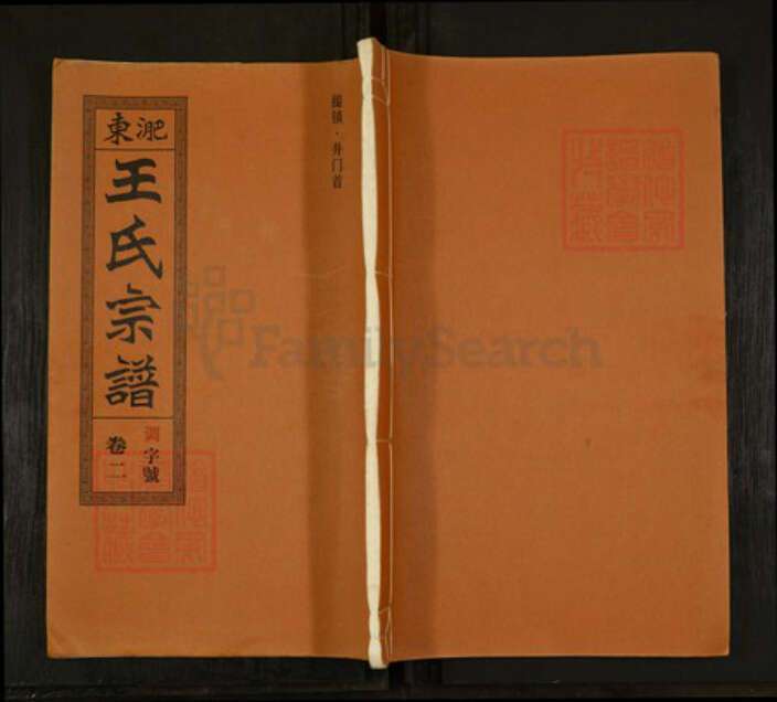 安徽省合肥市肥东县撮镇王氏三槐堂族谱-淝东王氏宗谱.pdf电子版缩略图