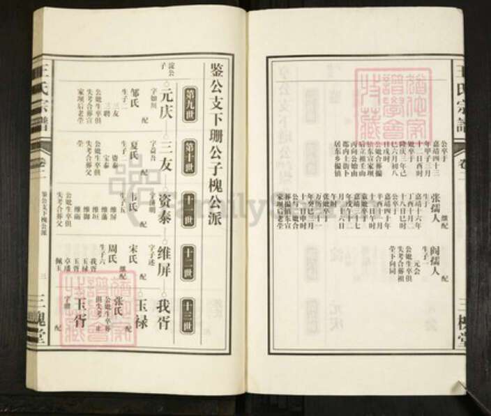 安徽省合肥市肥东县撮镇王氏三槐堂族谱-淝东王氏宗谱.pdf电子版预览图3