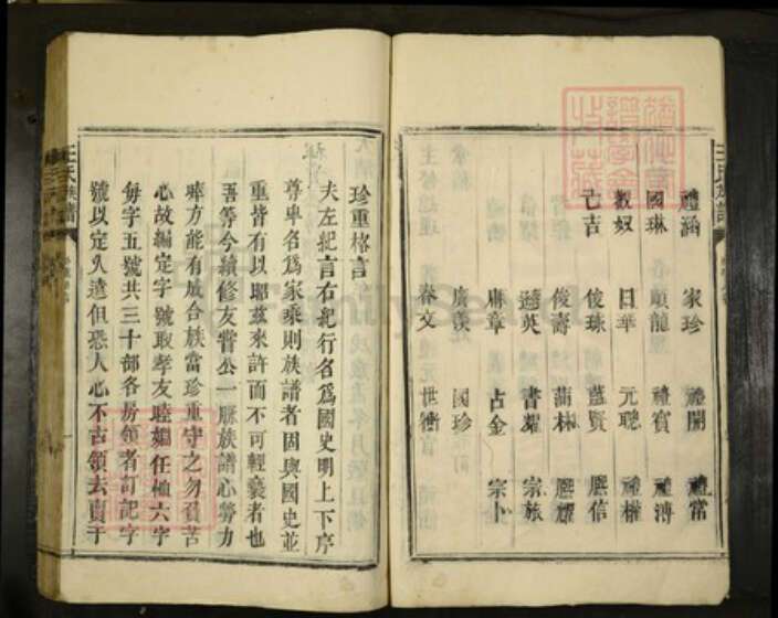 广东省湛江市遂溪县王氏族谱-王氏族谱.pdf电子版预览图2