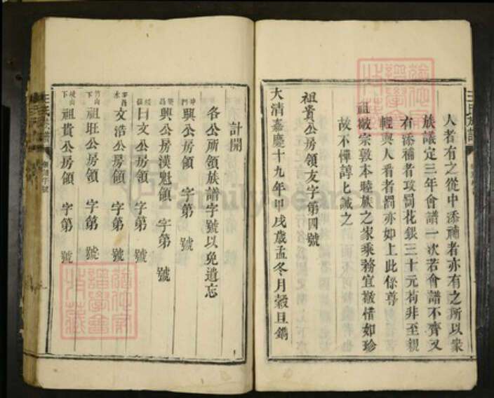 广东省湛江市遂溪县王氏族谱-王氏族谱.pdf电子版预览图3