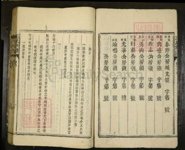 广东省湛江市遂溪县王氏族谱-王氏族谱.pdf电子版预览图5