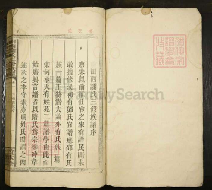 江西省吉安市吉水县水田乡谢氏敦本堂族谱-田西谢氏三修族谱.pdf电子版预览图1