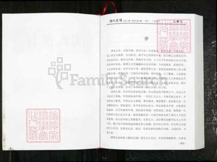 湖北省武汉市新洲区陶氏五柳堂族谱-陶氏宗谱.pdf电子版预览图1