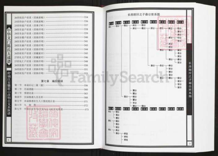 安徽省六安市霍山县陈氏族谱-中华义门陈氏大成谱舒城庄安徽霍山彦明公支系族谱.pdf电子版预览图5