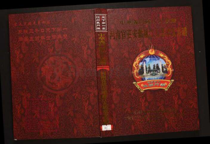 安徽省合肥市庐江县陈氏族谱-中华义门陈氏大成谱河南官庄安徽庐江九思堂支系谱.pdf电子版缩略图
