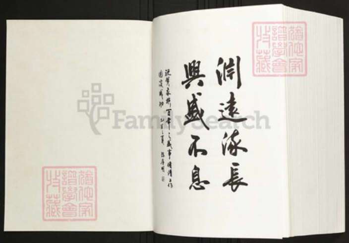 安徽省六安市舒城县陈氏族谱-舒城殷家圩陈氏宗谱.pdf电子版预览图1