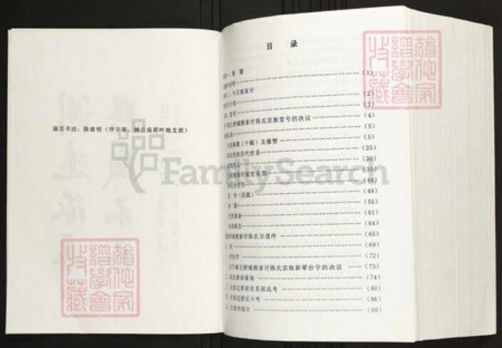 安徽省六安市舒城县陈氏族谱-舒城殷家圩陈氏宗谱.pdf电子版预览图2