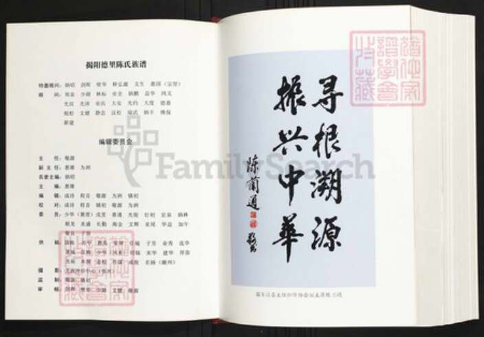 广东省揭阳市陈氏族谱-揭阳德里陈氏族谱.pdf电子版预览图3