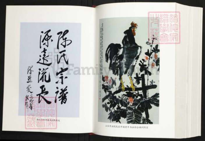 广东省揭阳市陈氏族谱-揭阳德里陈氏族谱.pdf电子版预览图4