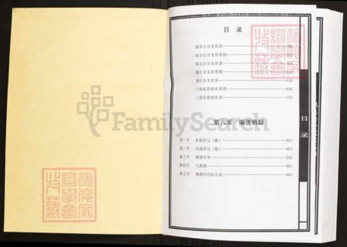 江西省赣州市宁都县陈氏族谱-中华义门陈氏大成谱鄱阳西庄宁都玉田陈氏族谱.pdf电子版预览图1