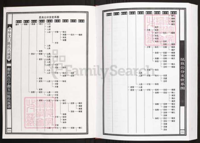 江西省赣州市宁都县陈氏族谱-中华义门陈氏大成谱鄱阳西庄宁都玉田陈氏族谱.pdf电子版预览图2