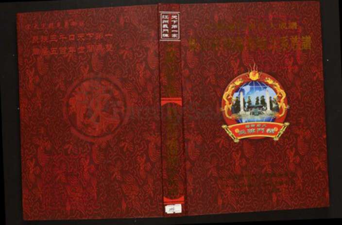 河南省信阳市商城县陈氏族谱-中华义门陈氏大成谱果石庄河南城支系族谱.pdf电子版缩略图