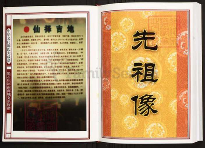 河南省信阳市商城县陈氏族谱-中华义门陈氏大成谱果石庄河南城支系族谱.pdf电子版预览图3