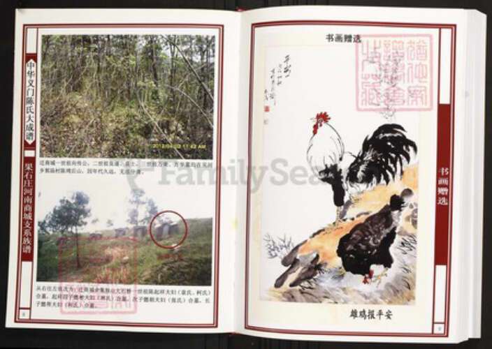 河南省信阳市商城县陈氏族谱-中华义门陈氏大成谱果石庄河南城支系族谱.pdf电子版预览图5