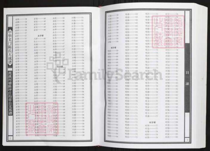 湖北省咸宁市通山县陈氏族谱-中华义门陈氏大成谱蒿溪河塘陈坪庄均常公支系谱.pdf电子版预览图3