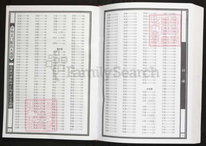 湖北省咸宁市通山县陈氏族谱-中华义门陈氏大成谱蒿溪河塘陈坪庄均常公支系谱.pdf电子版预览图4