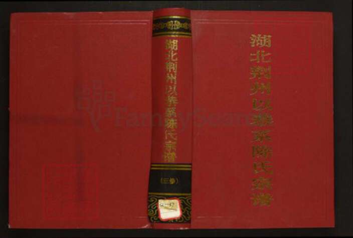 湖北省荆州市公安县陈氏族谱-湖北荆州以恭系陈氏宗谱.pdf电子版缩略图
