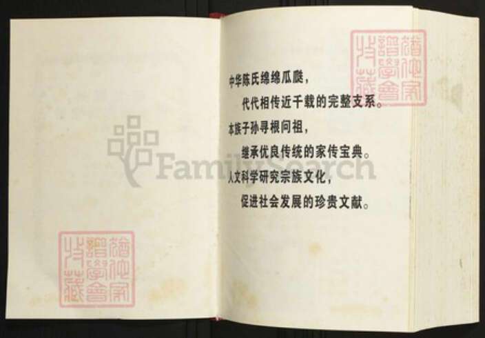 湖北省荆州市公安县陈氏族谱-湖北荆州以恭系陈氏宗谱.pdf电子版预览图2